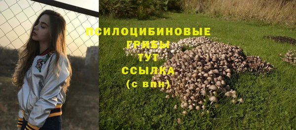 каннабис Алексин