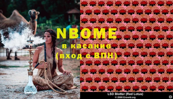 дмт Алзамай