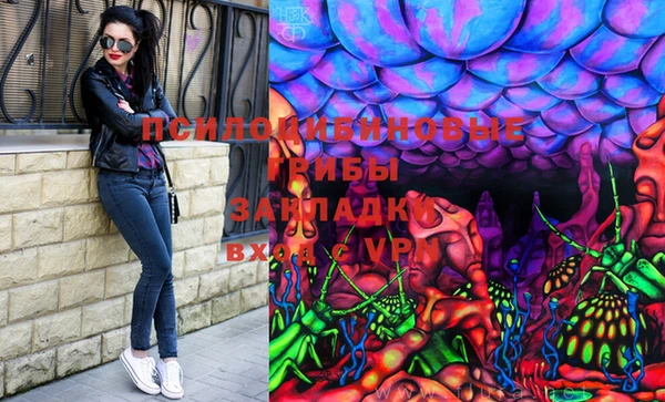 индика Абдулино
